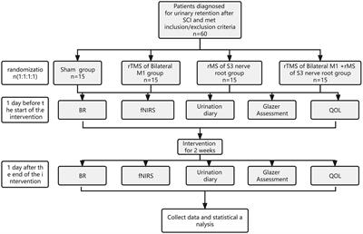 Effects of central-peripheral FMS on urinary retention after spinal cord injury: a pilot randomized controlled trial protocol